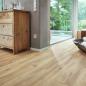 Preview: Desert Oak 06998 Landhausdiele kurz - MeisterDesign. next DD 500 S  