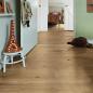 Preview: Feldeiche natur 06844 Landhausdiele kurz - MeisterDesign. next DD 500 S  