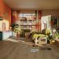 Preview: Rare groove 20086 Eiche Landhausdiele - MeisterDesign. rigid RM 400 S / Edition M9 