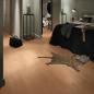 Preview: Buche 06201 Schiffsboden 3-Stab - MeisterDesign. laminate LC 150 