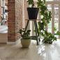 Preview: Schlosseiche pure 06840 Landhausdiele - MeisterDesign. laminate LL 250 