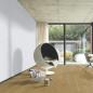 Preview: Whiteline 04074 - MeisterPaneele. bocado DP 250 