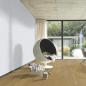 Preview: Whiteline 04074 - MeisterPaneele. bocado DP 250 