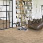 Preview: Parador Laminat Basic 400 Eiche Hirnholz gekälkt Landhausdiele 
