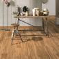 Preview: Parador Vinyl Basic 30 Eiche Memory natur Landhausdiele