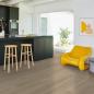 Preview: Parador Vinyl Basic 30 Eiche Regent grau Landhausdiele 