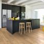 Preview: Parador Vinyl Classic 2070 Eiche natur Landhausdiele