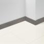 Preview: Parador Sockelleisten SL 18 D119 Eiche Imperial lichtgrau     