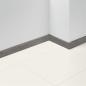 Preview: Parador Sockelleisten SL 5 WF D119 Eiche Imperial lichtgrau              