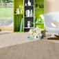 Preview: Parador Laminat Trendtime 6 Eiche Avant geschliffen Schlossdiele 