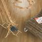Preview: Parador Parkett Basic 11-5 Eiche lackversiegelt matt Natur 3-Stab Schiffsboden 