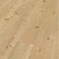 Preview: Eiche Perseus Schlossdiele - ter Hürne Avatara Perform Wood Edition   