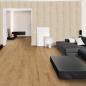 Preview: Design-Paneele Softprofil Eiche cremebeige - ter Hürne Decor Edition 