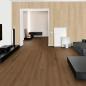 Preview: Design-Paneele Softprofil Eiche sand - ter Hürne Decor Edition 