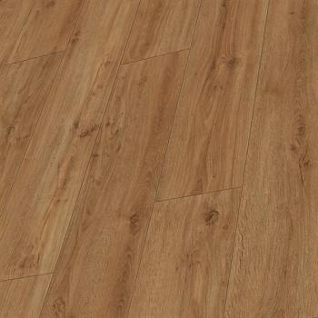 Golden Oak 06999 Landhausdiele kurz - MeisterDesign. next DD 500 S 