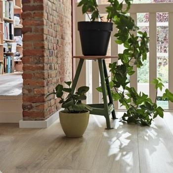 Schlosseiche pure 06840 Landhausdiele - MeisterDesign. laminate LL 250 