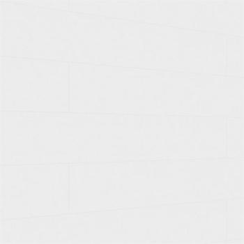 White pearl 20097 - MeisterPaneele. terra DP 250 