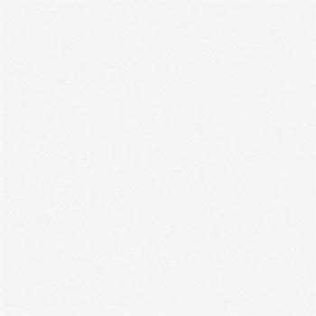 White wall 20126 - MeisterPaneele. bocado DP 250 