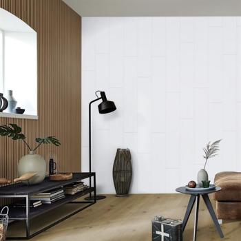 Whiteline 04074 - MeisterPaneele. bocado DP 250 