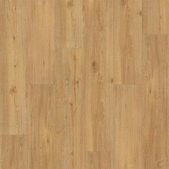 Parador Vinyl Basic 5.3 Eiche natur Landhausdiele