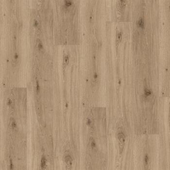 Parador Vinyl Trendtime 8 Eiche Imperial macchiato Großdiele 