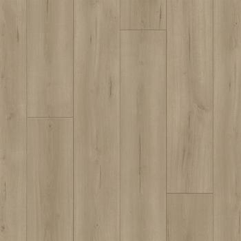 Parador Laminat Trendtime 6 Eiche Loft grau Schlossdiele 