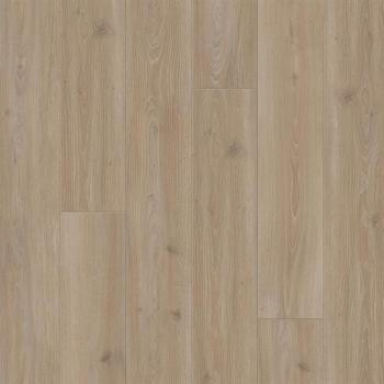 Parador Laminat Trendtime 6 Eiche Skyline perlgrau Schlossdiele  