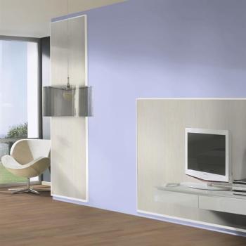 Design-Paneele Softprofil Birke grauweiß - ter Hürne Decor Edition 