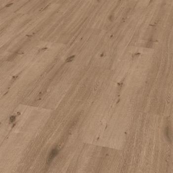 Eiche Thomas Landhausdiele breit - ter Hürne Friends Rigid Vinyl