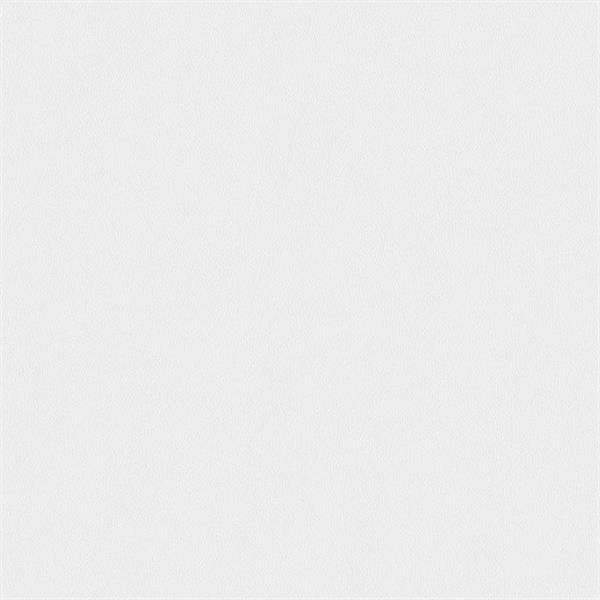 White pearl 20097 - MeisterPaneele. terra DP 250 