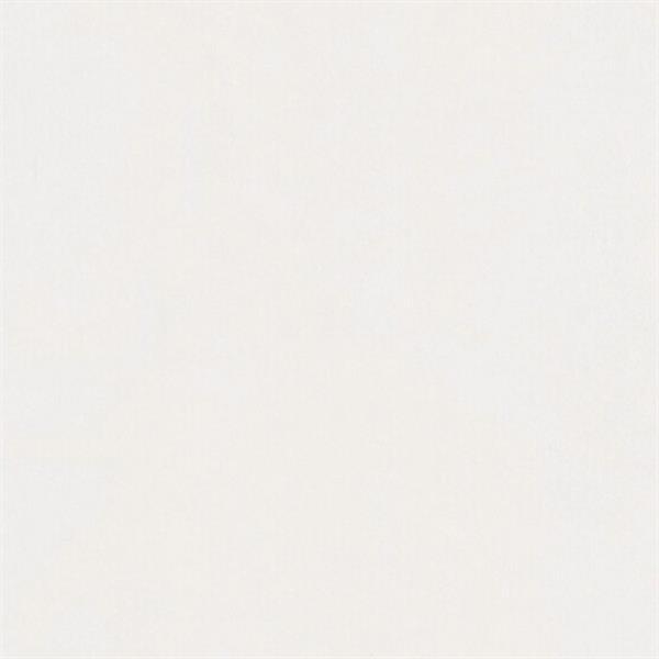 Uni weiß glänzend DF 00324 - MeisterPaneele. bocado DP 250 