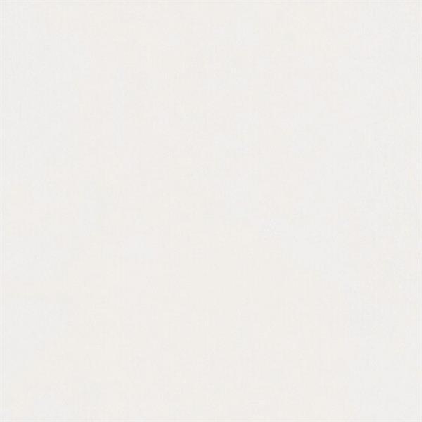Uni weiß glänzend DF 00324 - MeisterPaneele. bocado DP 250 
