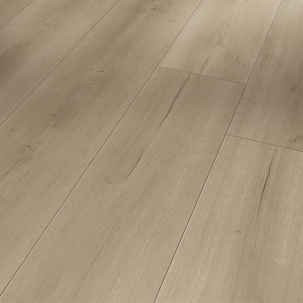 Parador Laminat Trendtime 6 Eiche Loft grau Schlossdiele 