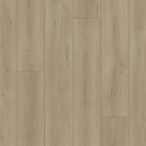 Parador Laminat Trendtime 6 Eiche Loft grau Schlossdiele 