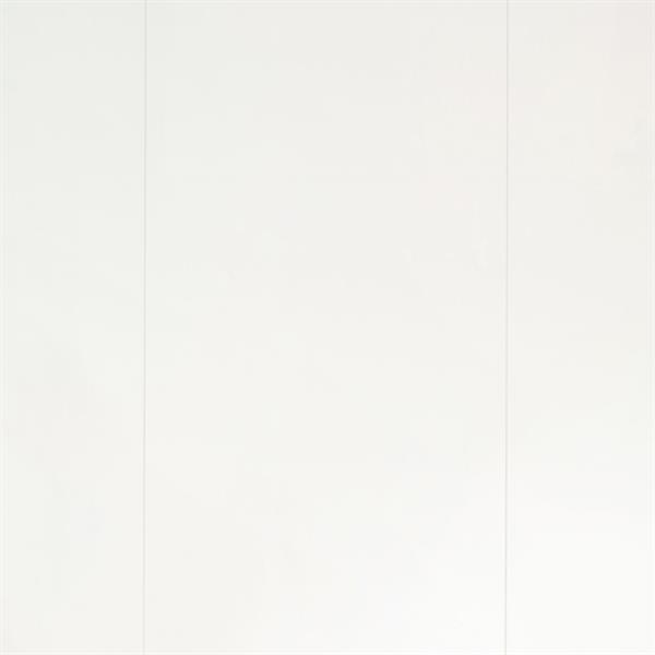Design-Paneele Softprofil Uni glanzweiß - ter Hürne Decor Edition 