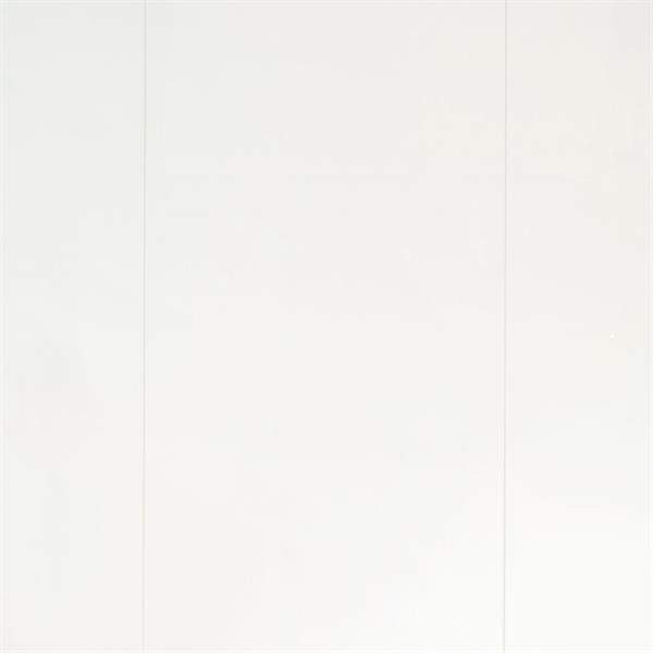 Design-Paneele Softprofil Uni glanzweiß - ter Hürne Decor Edition 